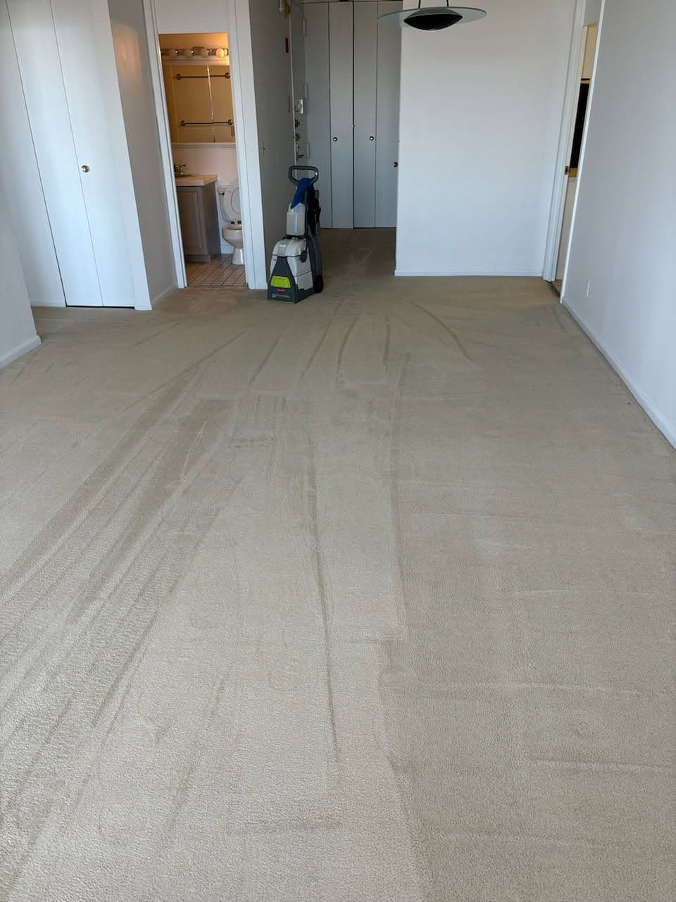 Sparkling Fresh Carpet Cleaning in Cambridge