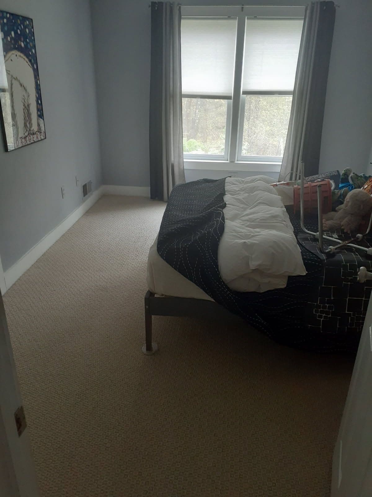 Transform Your Home with Boston's Carpet Revival