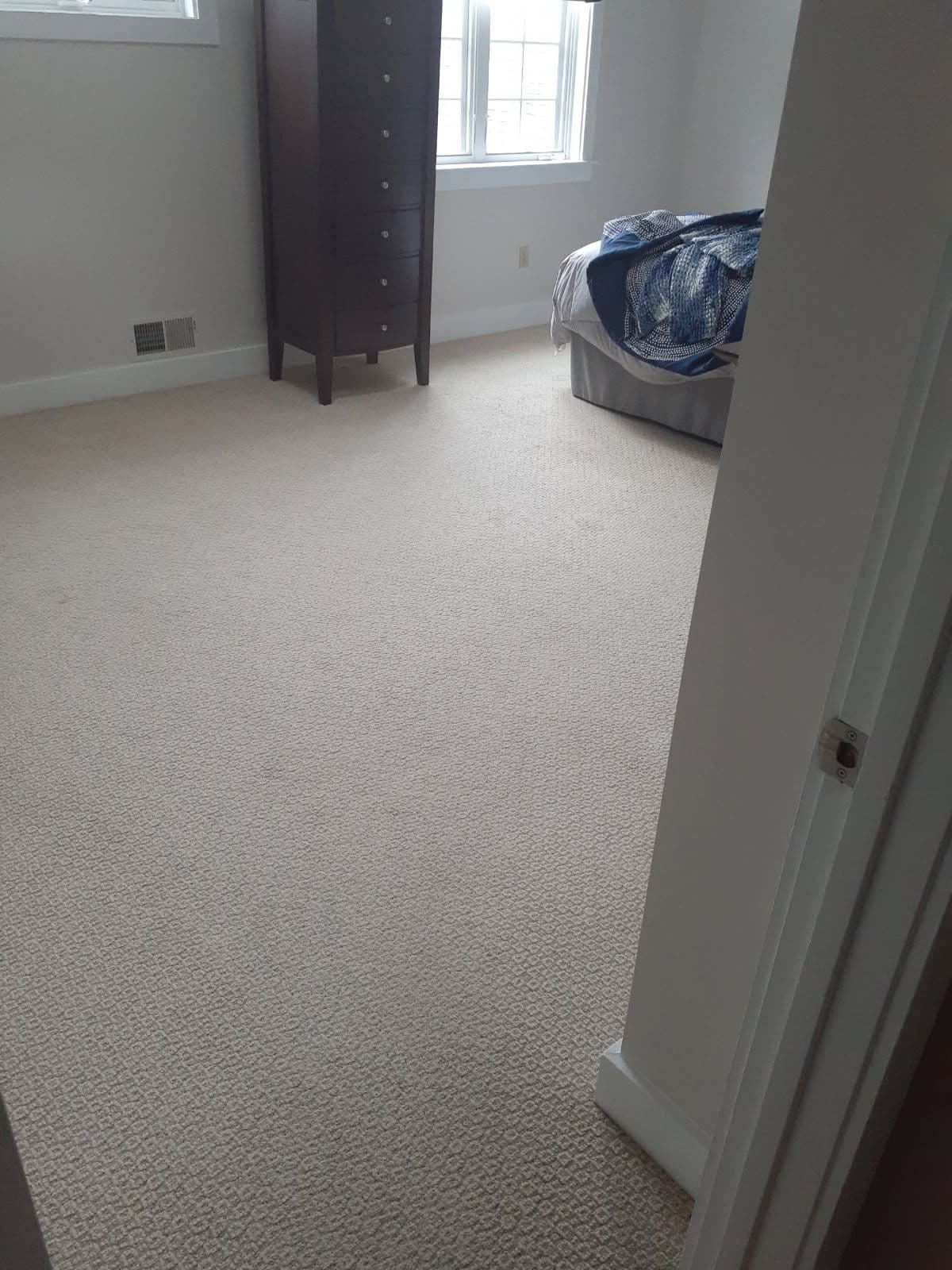 Transform Your Home with Boston's Carpet Revival