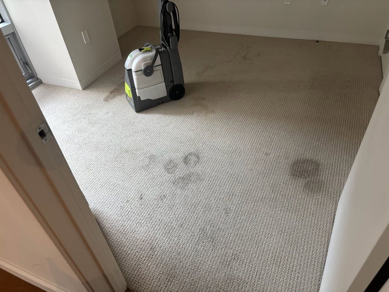 Deep Cleaning in Boston for Pristine Carpets