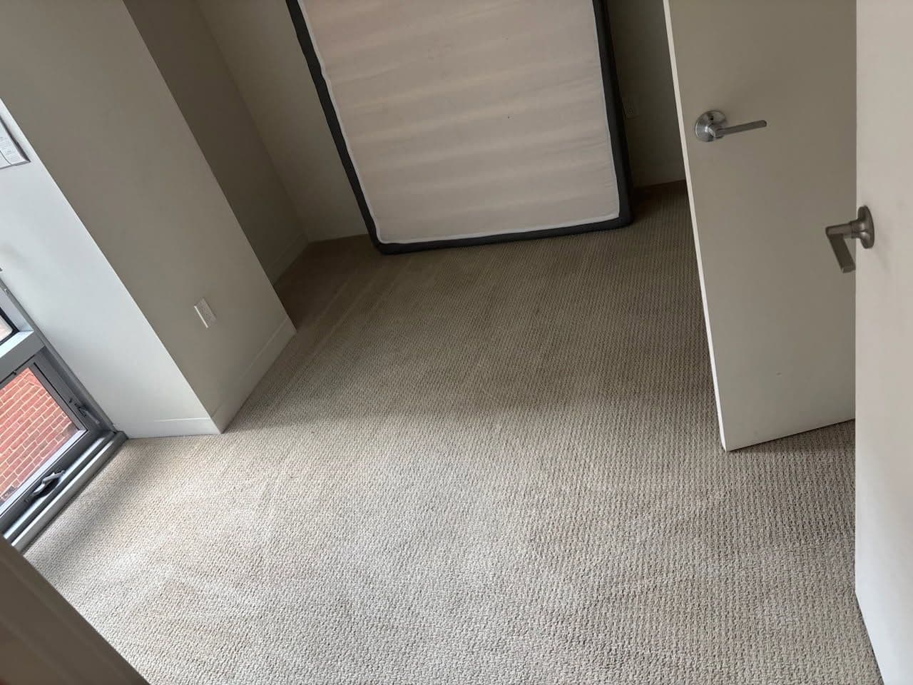 Deep Cleaning in Boston for Pristine Carpets