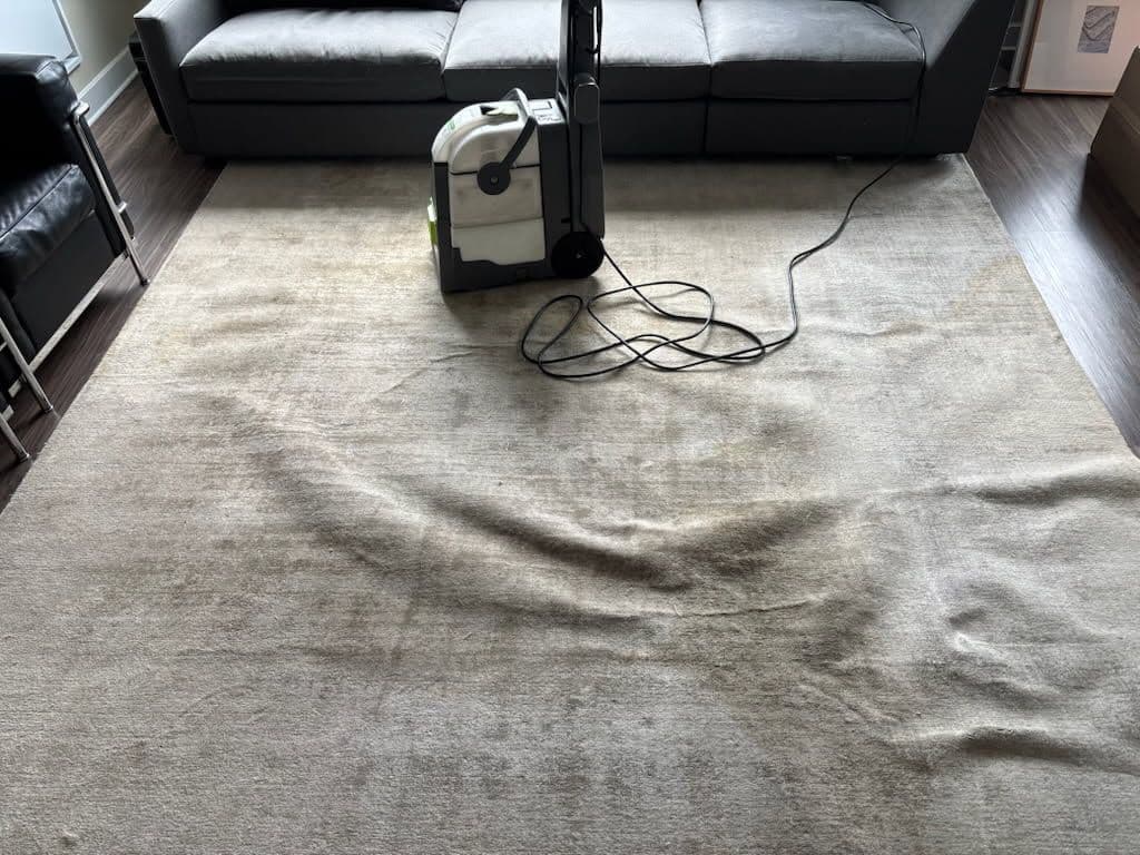 Project Revitalize Your Home with Expert Carpet Cleaning image